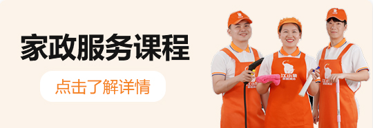 家政服务课程