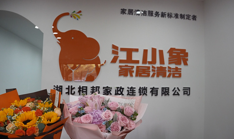 江小象家居清洁—以“四专二标”重塑行业标杆，开启家政加盟黄金时代